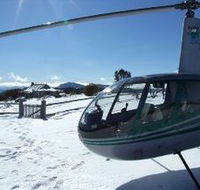 Alpine Helicopter Charter Scenic Tours - Palm Beach Accommodation