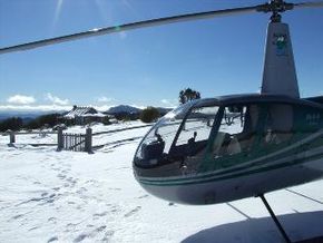 Alpine Helicopter Charter Scenic Tours - Palm Beach Accommodation 0