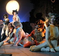 Harvest Rain Theatre Company - Palm Beach Accommodation
