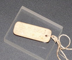 Palm Beach Accommodation