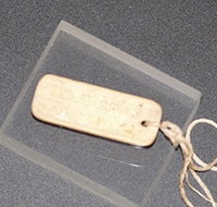 MacArthur Museum - Palm Beach Accommodation