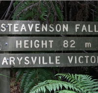 Stevensons Falls - Palm Beach Accommodation