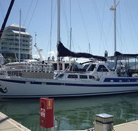 Coral Sea Dreaming Dive and Sail - Palm Beach Accommodation