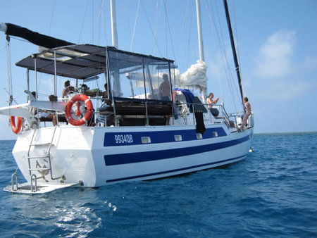 Coral Sea Dreaming Dive And Sail - Palm Beach Accommodation 3