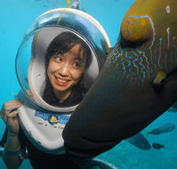 Sunlover Reef Cruises - Palm Beach Accommodation
