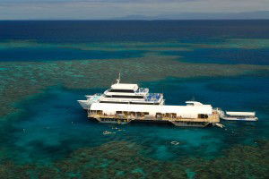 Sunlover Reef Cruises - Palm Beach Accommodation 2