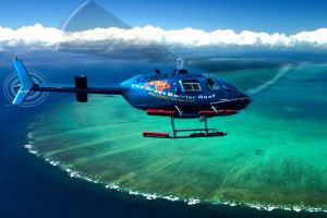 Sunlover Reef Cruises - Palm Beach Accommodation 3