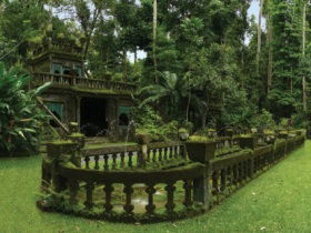 Paronella Park - Palm Beach Accommodation 2
