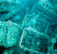 Underwater Sports Diving Centre - Palm Beach Accommodation