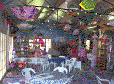 Fairyland Village - Palm Beach Accommodation 2
