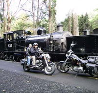 Andy's Harley Rides - Palm Beach Accommodation