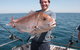 Melbourne Fishing Charters - thumb 0