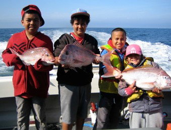 Melbourne Fishing Charters - Palm Beach Accommodation 3