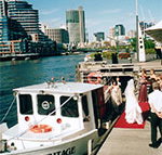Bay  River Cruises - Palm Beach Accommodation