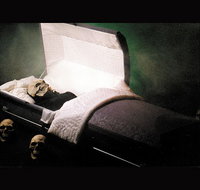 Coffin Ride - Palm Beach Accommodation