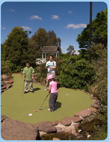 Wheelers Hill VIC Palm Beach Accommodation