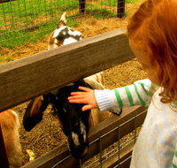 Collingwood Children's Farm - Palm Beach Accommodation
