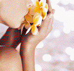 Tranquillity Spa  Beauty - Palm Beach Accommodation