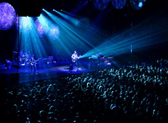 Brisbane Convention & Exhibition Centre - Palm Beach Accommodation 4