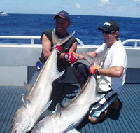 Blue Juice Charters - Palm Beach Accommodation
