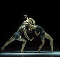 Sydney Dance Company - Palm Beach Accommodation