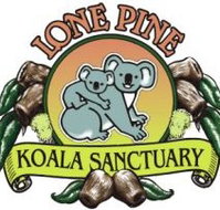 Lone Pine Koala Sanctuary - Palm Beach Accommodation