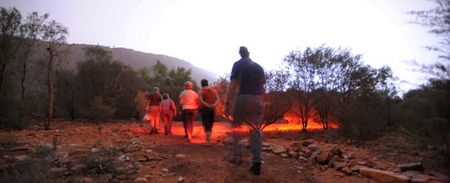 Alice Springs Desert Park - Palm Beach Accommodation 4