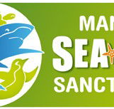 Manly SEA LIFE Sanctuary - Palm Beach Accommodation