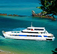 Queensland Day Tours - Palm Beach Accommodation