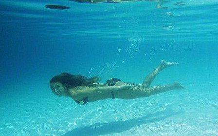 Queensland Day Tours - Palm Beach Accommodation 8