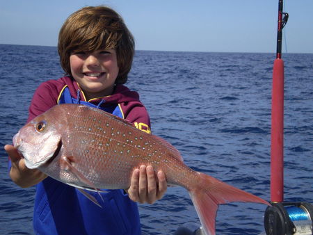 Mills Charters Fishing And Whale Watch Cruises - Palm Beach Accommodation 4