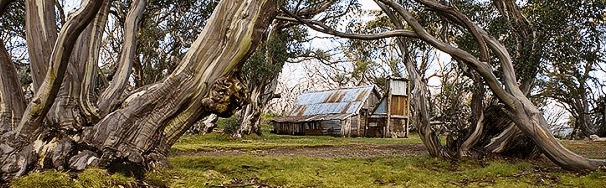 High Country Scenic Tours - Palm Beach Accommodation