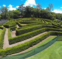 Bellingham Maze - Palm Beach Accommodation