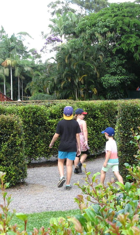 Bellingham Maze - Palm Beach Accommodation 2