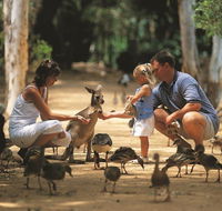 Billabong Sanctuary - Palm Beach Accommodation