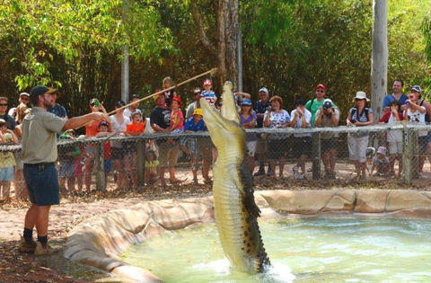 Billabong Sanctuary - Palm Beach Accommodation 2