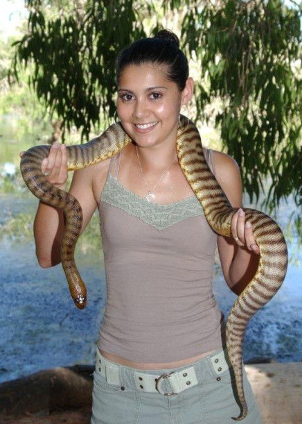 Billabong Sanctuary - Palm Beach Accommodation 4