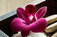 Blush Beauty Saloons - Palm Beach Accommodation 4
