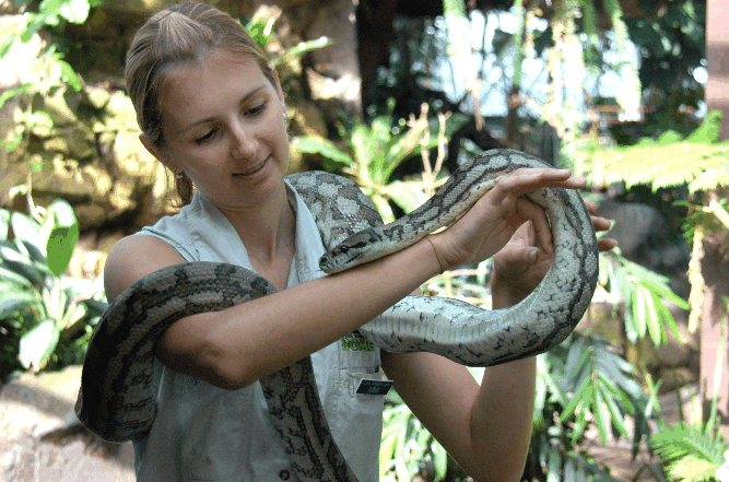 Cairns Wildlife Dome - Palm Beach Accommodation 2