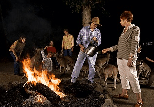 Cairns Night Zoo - Palm Beach Accommodation