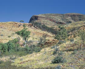 Mount Newman - Palm Beach Accommodation 0
