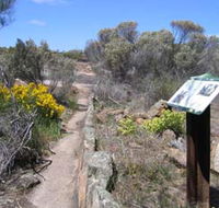 Christmas Rock Walk - Palm Beach Accommodation