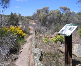 Christmas Rock Walk - Palm Beach Accommodation 0