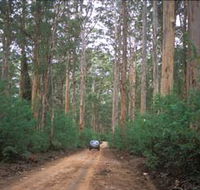 Boranup Drive - Palm Beach Accommodation