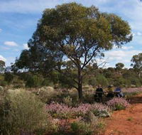 Karlkurla Bushland Park - Palm Beach Accommodation