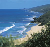 Yallingup Beach - Palm Beach Accommodation