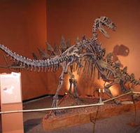Denmark Dinosaur World - Palm Beach Accommodation