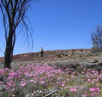 Talgomine Reserve - Palm Beach Accommodation