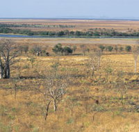 Marglu Billabong - Palm Beach Accommodation