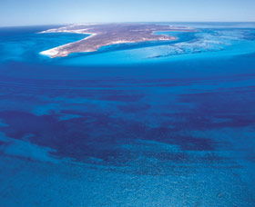  Palm Beach Accommodation